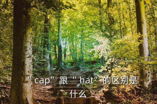 “ cap”跟“ hat”的區別是什么