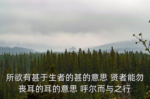 所欲有甚于生者，所欲有甚于生者中者是什么意思