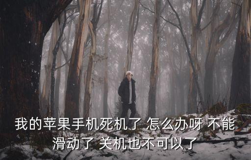 蘋(píng)果死機(jī)怎么辦，蘋(píng)果手機(jī)死機(jī)了怎么辦