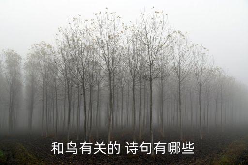 寫(xiě)鳥(niǎo)的詩(shī)句,晨光|美好的開(kāi)始!