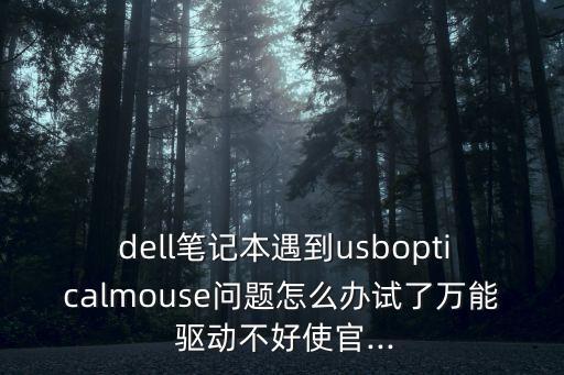  dell筆記本遇到usbopticalmouse問題怎么辦試了萬能 驅動不好使官...