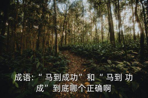 成語:“ 馬到成功”和“ 馬到 功成”到底哪個正確啊