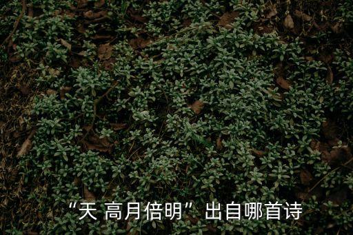 “天 高月倍明”出自哪首詩
