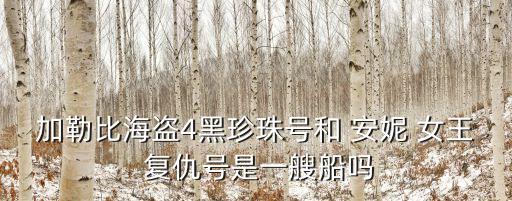 加勒比海盜4黑珍珠號和 安妮 女王 復仇號是一艘船嗎