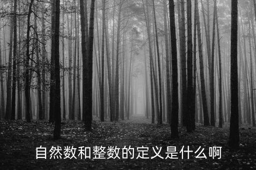 整數(shù)的概念，整數(shù)的概念和定義