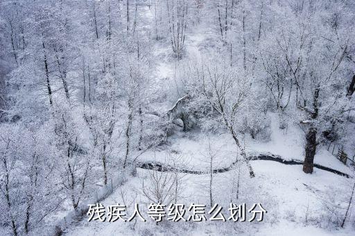 重度殘疾，什么是重度殘疾人