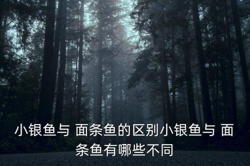 面條魚是什么魚,魚金玉和尹振玉面條魚和銀魚分別在哪里?