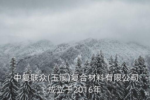 中復,中復聯眾(玉溪)復合材料有限公司成立于2016年