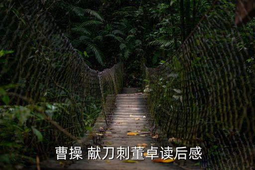  曹操 獻(xiàn)刀刺董卓讀后感