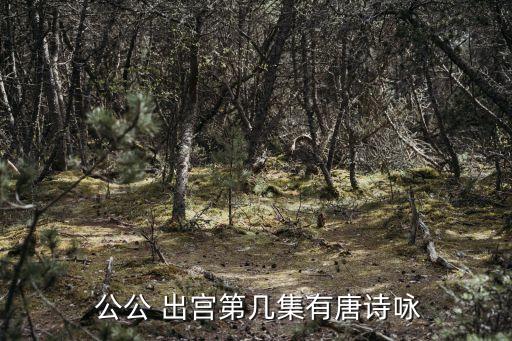  公公 出宮第幾集有唐詩詠
