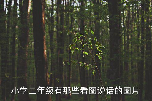 二年級(jí)看圖說(shuō)話，二年級(jí)看圖寫話朋朋的家鄉(xiāng)