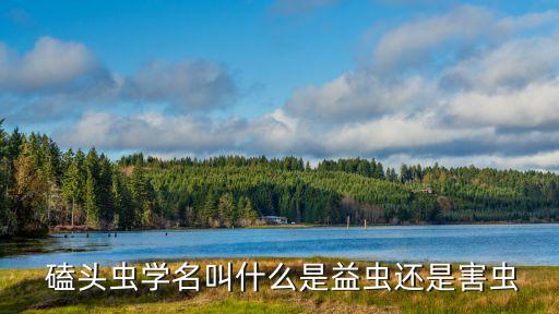 磕頭蟲,這些磕頭蟲怎么來的?