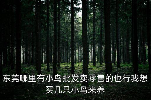 東莞哪里有小鳥批發賣零售的也行我想買幾只小鳥來養