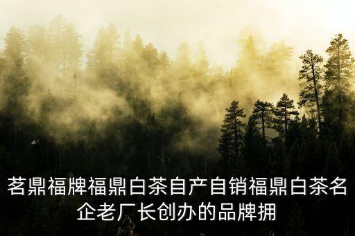 茗鼎福牌福鼎白茶自產(chǎn)自銷福鼎白茶名企老廠長創(chuàng)辦的品牌擁