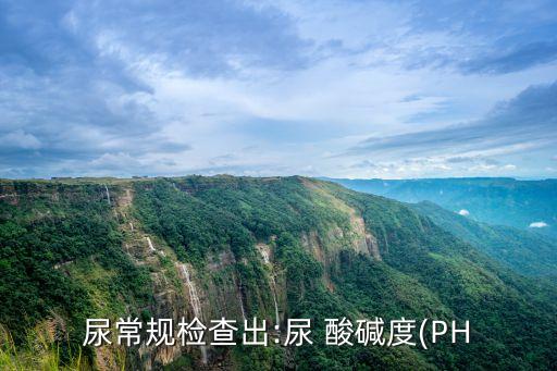 尿常規(guī)檢查出:尿 酸堿度(PH
