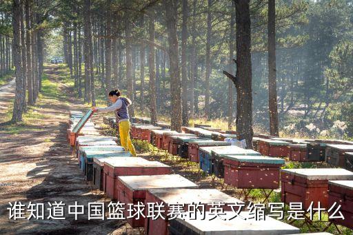 誰知道中國籃球聯賽的英文縮寫是什么