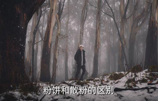 粉餅和散粉的區別
