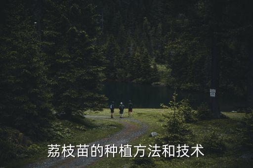 荔枝苗的種植方法和技術(shù)