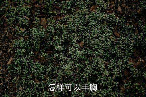怎樣可以豐胸