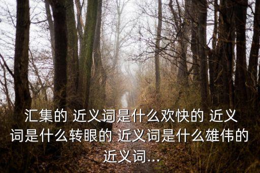 匯集的 近義詞是什么歡快的 近義詞是什么轉眼的 近義詞是什么雄偉的 近義詞...
