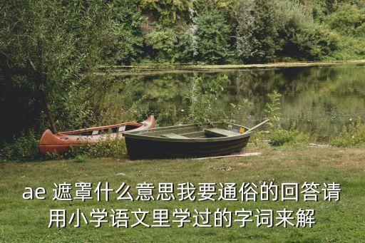 ae 遮罩什么意思我要通俗的回答請用小學語文里學過的字詞來解