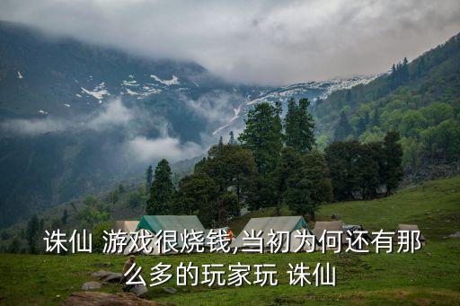  誅仙 游戲很燒錢(qián),當(dāng)初為何還有那么多的玩家玩 誅仙