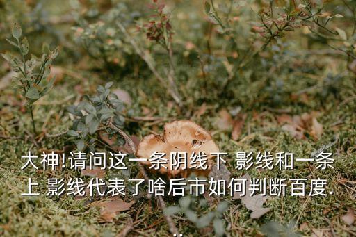 大神!請(qǐng)問這一條陰線下 影線和一條上 影線代表了啥后市如何判斷百度...