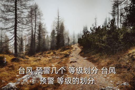  臺風 預警幾個 等級劃分 臺風 預警 等級的劃分