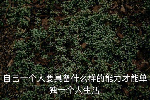 個人能力，自己一個人要具備什么樣的能力才能單獨一個人生活