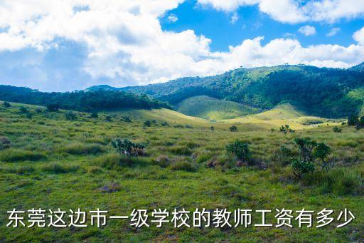 東莞這邊市一級學校的教師工資有多少