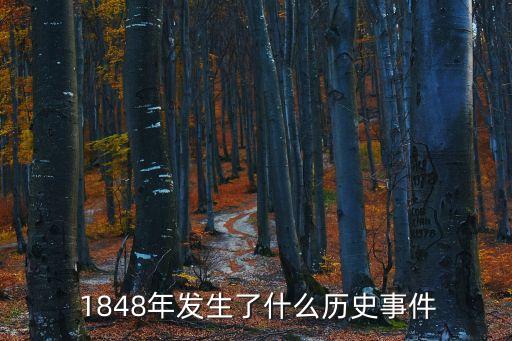1848年歐洲革命,法蘭西第二共和國(guó)被資產(chǎn)階級(jí)竊取革命果實(shí)