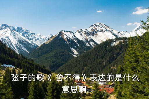 弦子的歌《 舍不得》表達的是什么意思啊