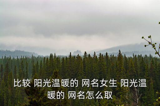 陽光的網(wǎng)名,死者都是撿來的幸存者