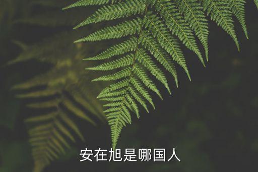  安在旭是哪國人