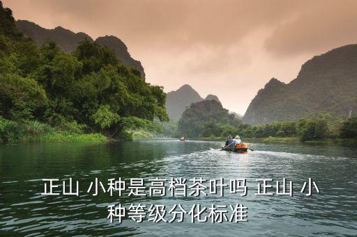  正山 小種是高檔茶葉嗎 正山 小種等級分化標(biāo)準(zhǔn)