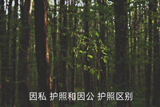  因私 護照和因公 護照區別