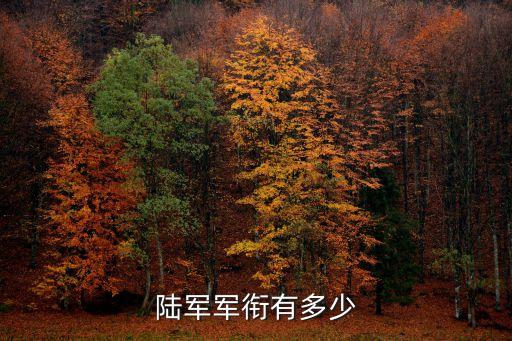 陸軍軍銜，陸軍軍銜有多少