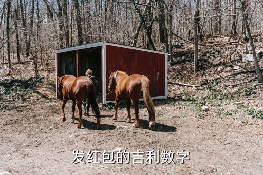 紅包的吉利數字，包禮金有哪些吉祥的數字組合分極別1001000謝謝