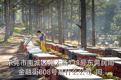 東莞市南城區莞太路111號東莞民間金融街808號是什么公司  問