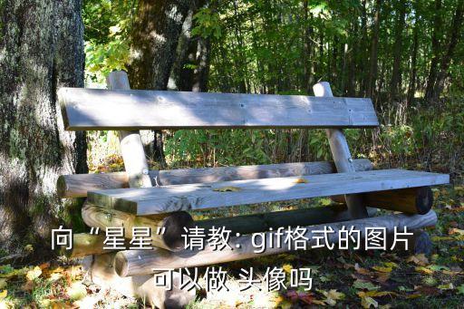 向“星星”請教: gif格式的圖片可以做 頭像嗎
