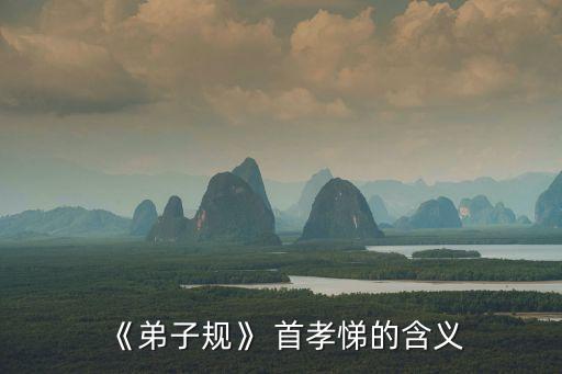 首孝悌,《弟子規》第一句話:孝順就是孝順父母和愛兄弟姐妹