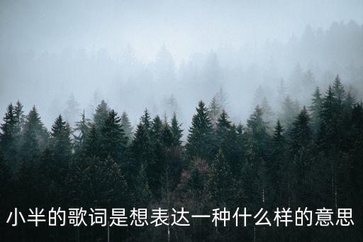 小半的歌詞是想表達一種什么樣的意思