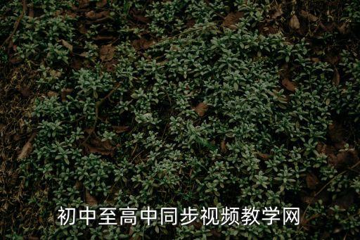 視頻教程網，視頻教程網哪里有
