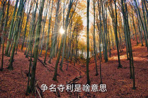 爭名奪利，爭名奪利是啥意思
