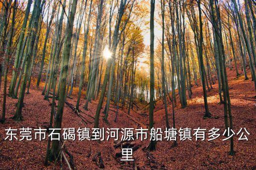 廣東東莞石源物流，我在東莞石排擺一個(gè)關(guān)于小商品的地?cái)傁胝?qǐng)教高人哪里有物美價(jià)廉
