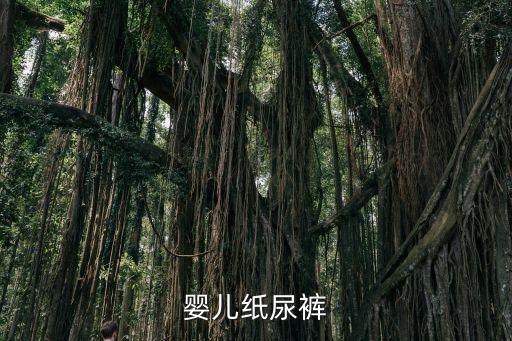 嬰兒紙尿褲，嬰兒紙尿褲都有哪些