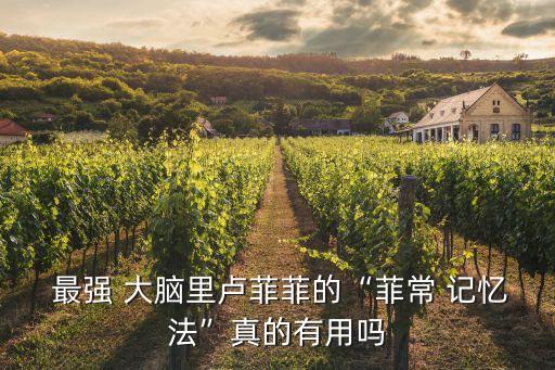  最強 大腦里盧菲菲的“菲常 記憶法”真的有用嗎