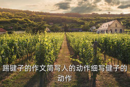 踢鍵子的作文簡寫人的動作細寫健子的動作