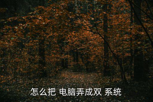 怎么把 電腦弄成雙 系統
