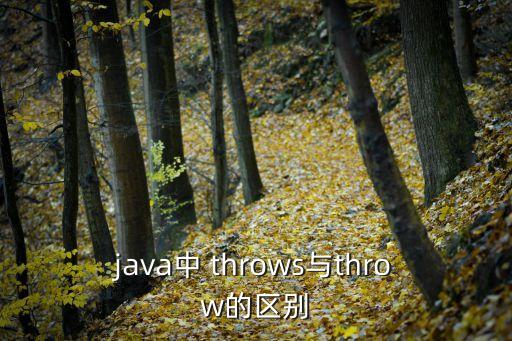 java中 throws與throw的區別